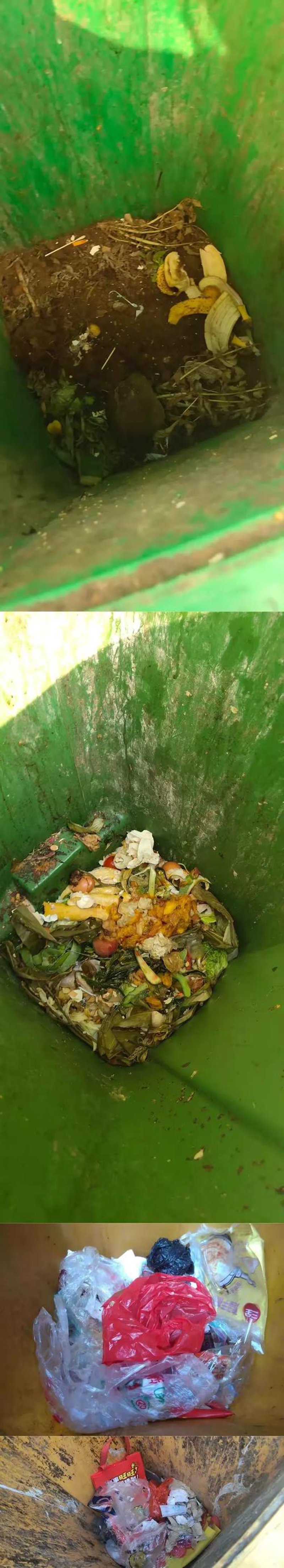 走进喜水来销售行：郑州市惠济区水产品的新门户